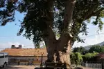 Batıayaz Köyü Cami