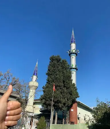 İstanbul Tuzla Tepeören Merkez Cami kapak görseli