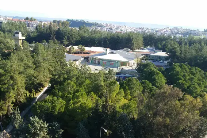 Adana Çukurova Ruh Sağlığı Hastanesi Mescidi kapak görseli