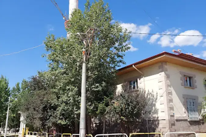 Afyonkarahisar Sinanpaşa Tınaztepe Kasabası Merkez Cami kapak görseli