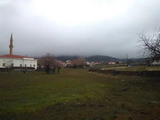 Ankara Çamlıdere Avdan Köyü Cami kapak görseli