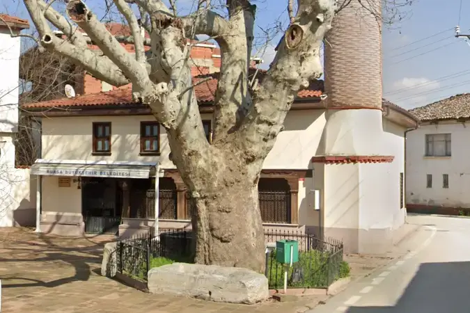 Bursa Nilüfer Yaylacık Mahallesi Eski Cami kapak görseli