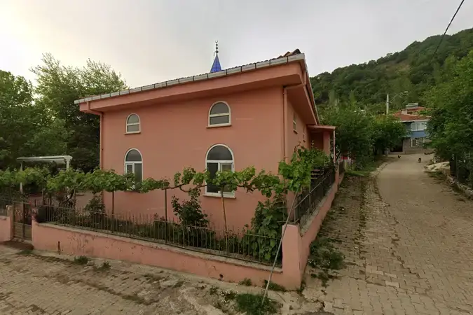 Bursa Orhangazi Ortaköy Eski Cami kapak görseli