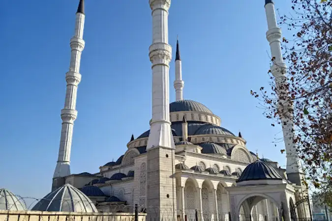 Diyarbakır Kayapınar Fekiyi Teyran Cami kapak görseli