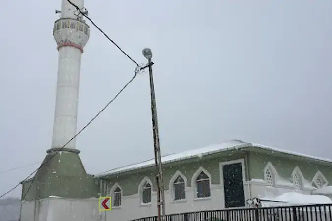 İstanbul Beykoz Cevizlibahçe Hz. Ali Cami kapak görseli