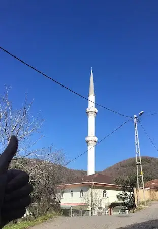 İstanbul Beykoz Tokatköy Çiftlik Cami kapak görseli