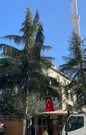 İstanbul Esenyurt Gazi Osman Paşa Cami kapak görseli