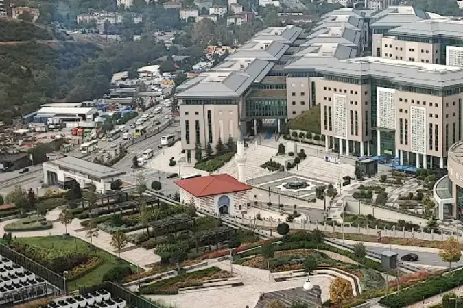 İstanbul Eyüpsultan Ali Kuşcu Cami kapak görseli