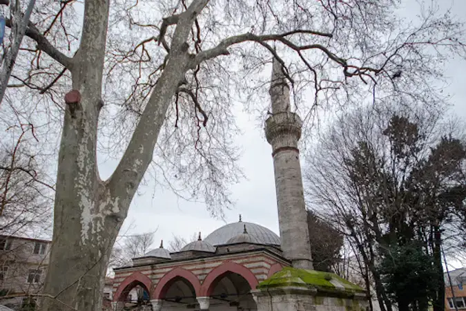 İstanbul Eyüpsultan Cezri Kasım Cami kapak görseli