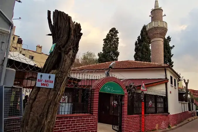 İstanbul Fatih Cambaziye Cami (Cerrahpaşa Cami) kapak görseli
