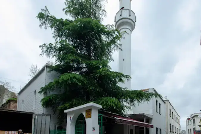 İstanbul Fatih Sururi Daye Hatun Cami kapak görseli