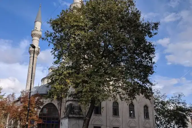 İstanbul Gaziosmanpaşa Merkez Cami kapak görseli