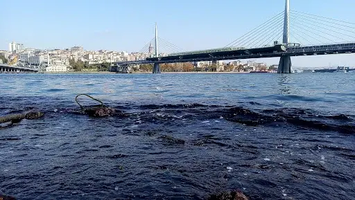 İstanbul Kağıthane Şükrüoğlu Hüseyin Cami kapak görseli
