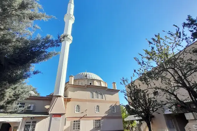 İstanbul Kartal Kurfalı Çınar Cami kapak görseli