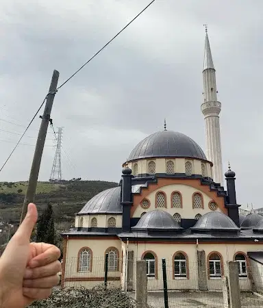 İstanbul Pendik Hacı Zeliha Hatun Cami kapak görseli