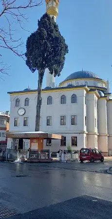 İstanbul Pendik Turgut Paşa Cami kapak görseli