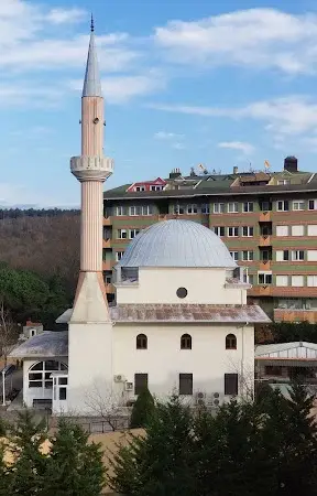 İstanbul Sarıyer Abdullah Kadı Cami kapak görseli