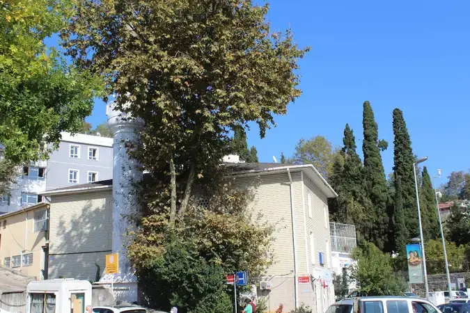 İstanbul Sarıyer İstinye Mahmut Çavuş Cami kapak görseli