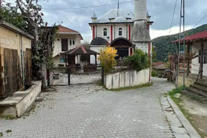 İstanbul Şile Gökmaşlı Köyü Cami kapak görseli