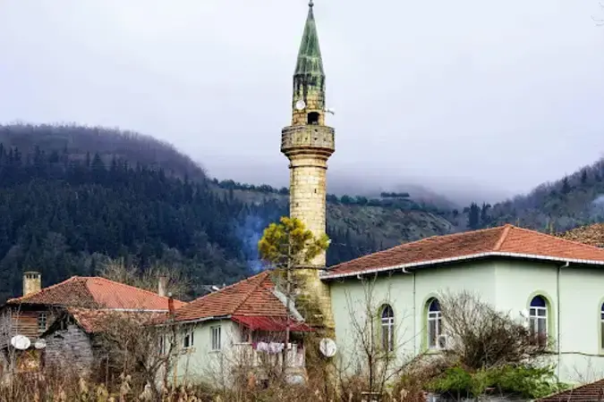 İstanbul Şile Göksu Mahallesi Ubeyli Köyü Cami kapak görseli