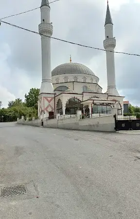 İstanbul Şile Kurfallı Köyü Cami kapak görseli
