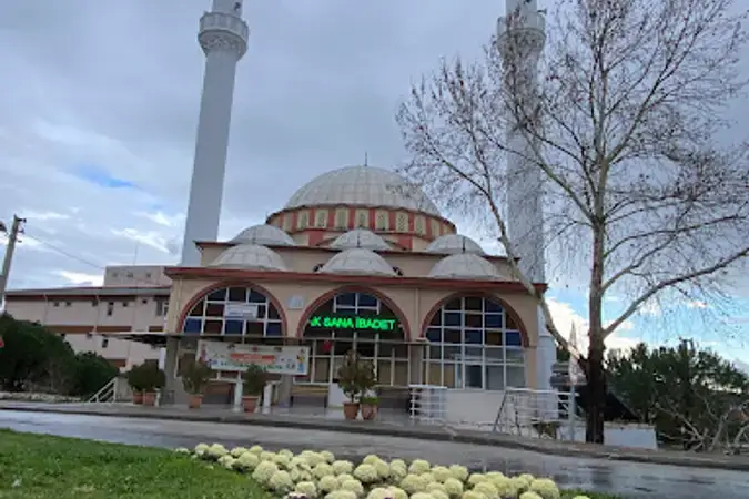İzmir Bergama Eroğlu Cami kapak görseli