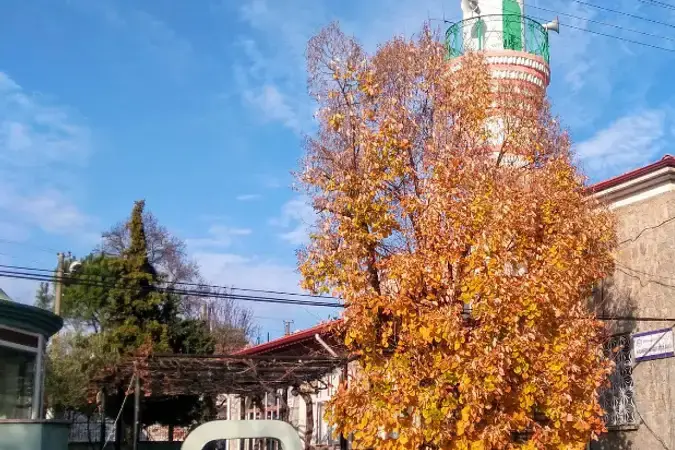 İzmir Bergama Yukarıbey Koca Mahallesi Cami kapak görseli