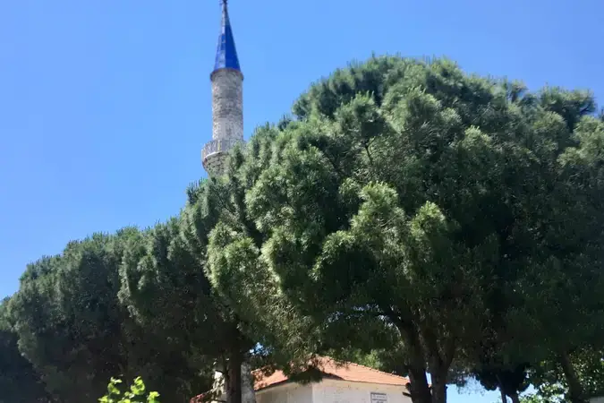 İzmir Dikili Demirtaş Mahallesi Çam Cami kapak görseli