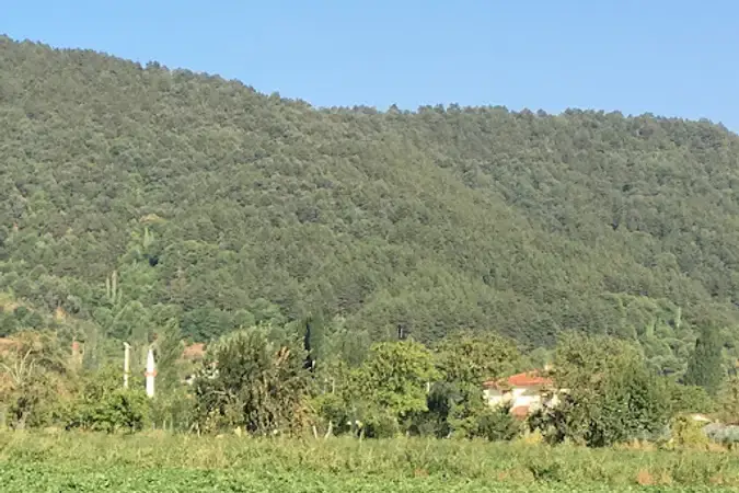 İzmir Ödemiş Gölcük Mahallesi Karşıyaka Cami kapak görseli