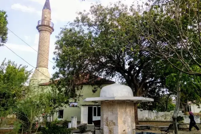 İzmir Seferihisar Düzce Mahallesi Cami kapak görseli