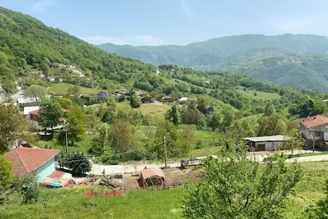 Kocaeli Başiskele Camidüzü Mahallesi Cami kapak görseli
