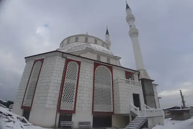Kocaeli Darıca 15 Temmuz Şehitler Cami kapak görseli