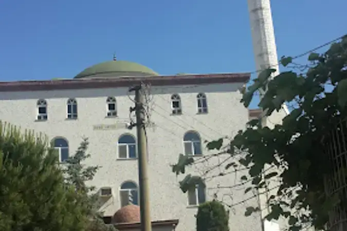 Kocaeli Darıca Nenehatun Mahallesi Nenehatun Cami kapak görseli