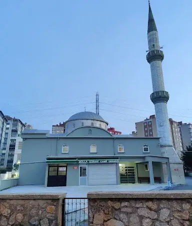 İstanbul Pendik Şeyhli Mollagürani Cami kapak görseli