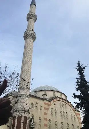 Söğütlüçayır Molla Cami kapak fotoğrafı