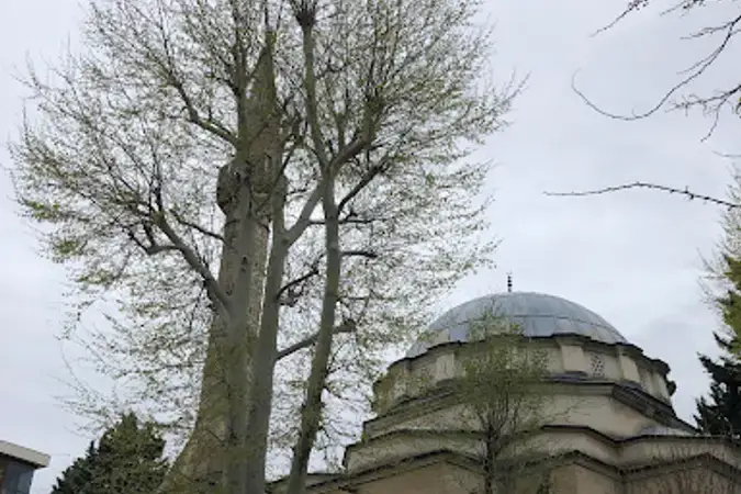 Şehit Yaşar Musaoğlu Cami kapak fotoğrafı