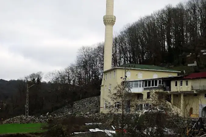 Cavuşbaşı Karanlıkdere Yeni Cami kapak fotoğrafı