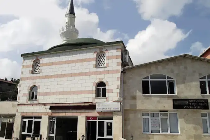Çavuşbaşı Yeşil Cami kapak fotoğrafı