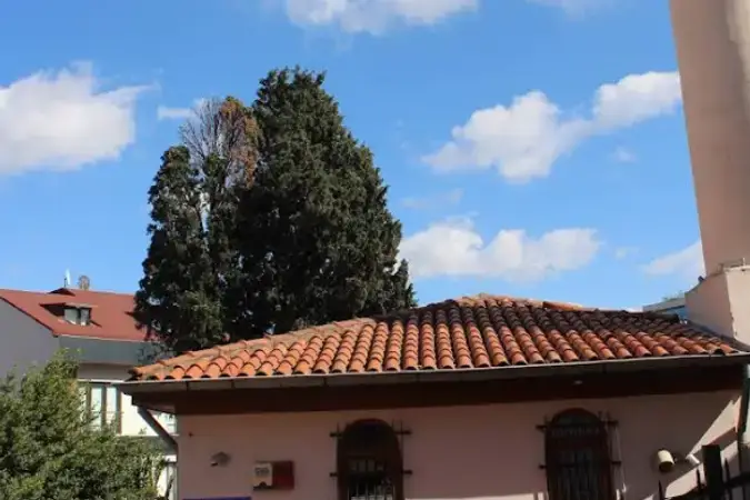Sahaf Muhittin Cami kapak fotoğrafı