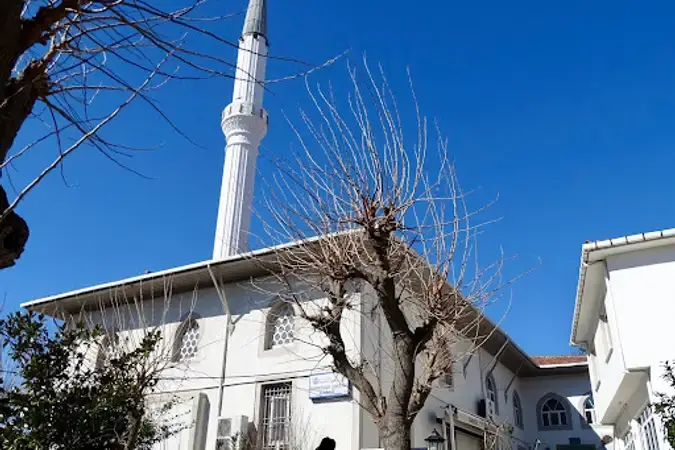 Reşitpaşa Mihrişah Sultan Cami kapak fotoğrafı