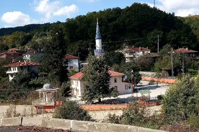 Bozgoca Köyü Cami kapak fotoğrafı