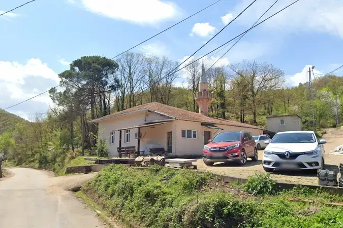 Yeşilvadi Köyü Kalealtı Cami kapak fotoğrafı