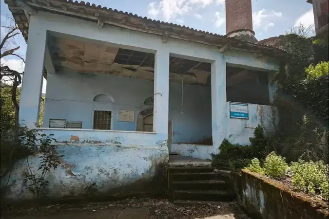 Şeyh Cami kapak fotoğrafı
