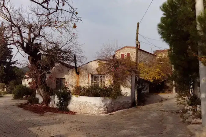 Birgi Köyü Cami kapak fotoğrafı