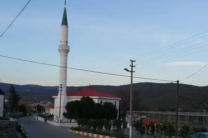 Zeytineli Köyü Cami kapak fotoğrafı