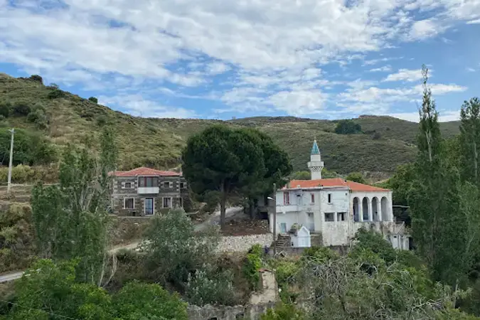 Sarpıncık Köyü Cami kapak fotoğrafı