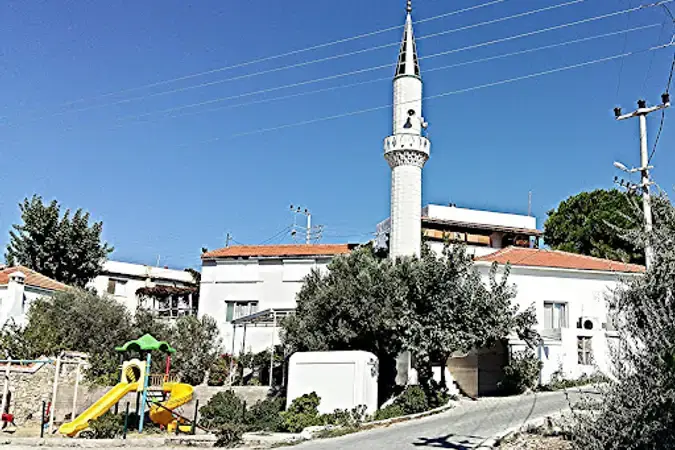 Tepeboz Mahallesi Cami kapak fotoğrafı