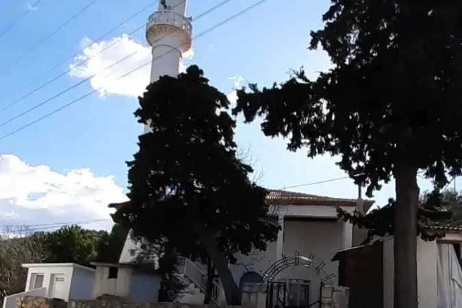 Tepeboz Köyü Cami kapak fotoğrafı