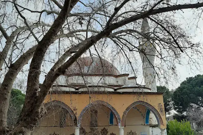 Birgi Mahallesi Derviş Ağa Cami kapak fotoğrafı