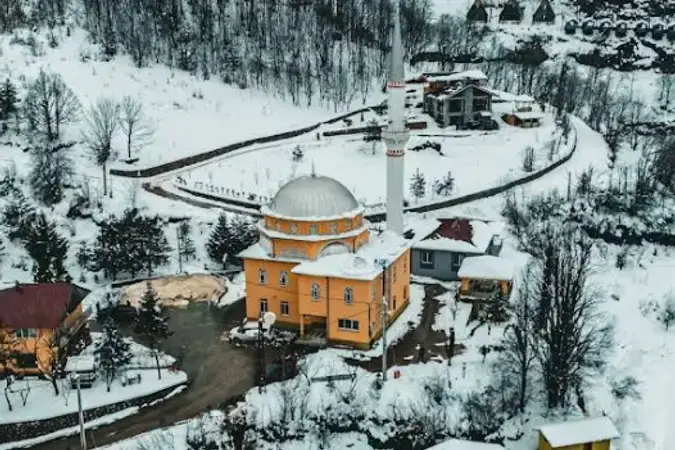Servetiye Aşağı Alartı Cami kapak fotoğrafı